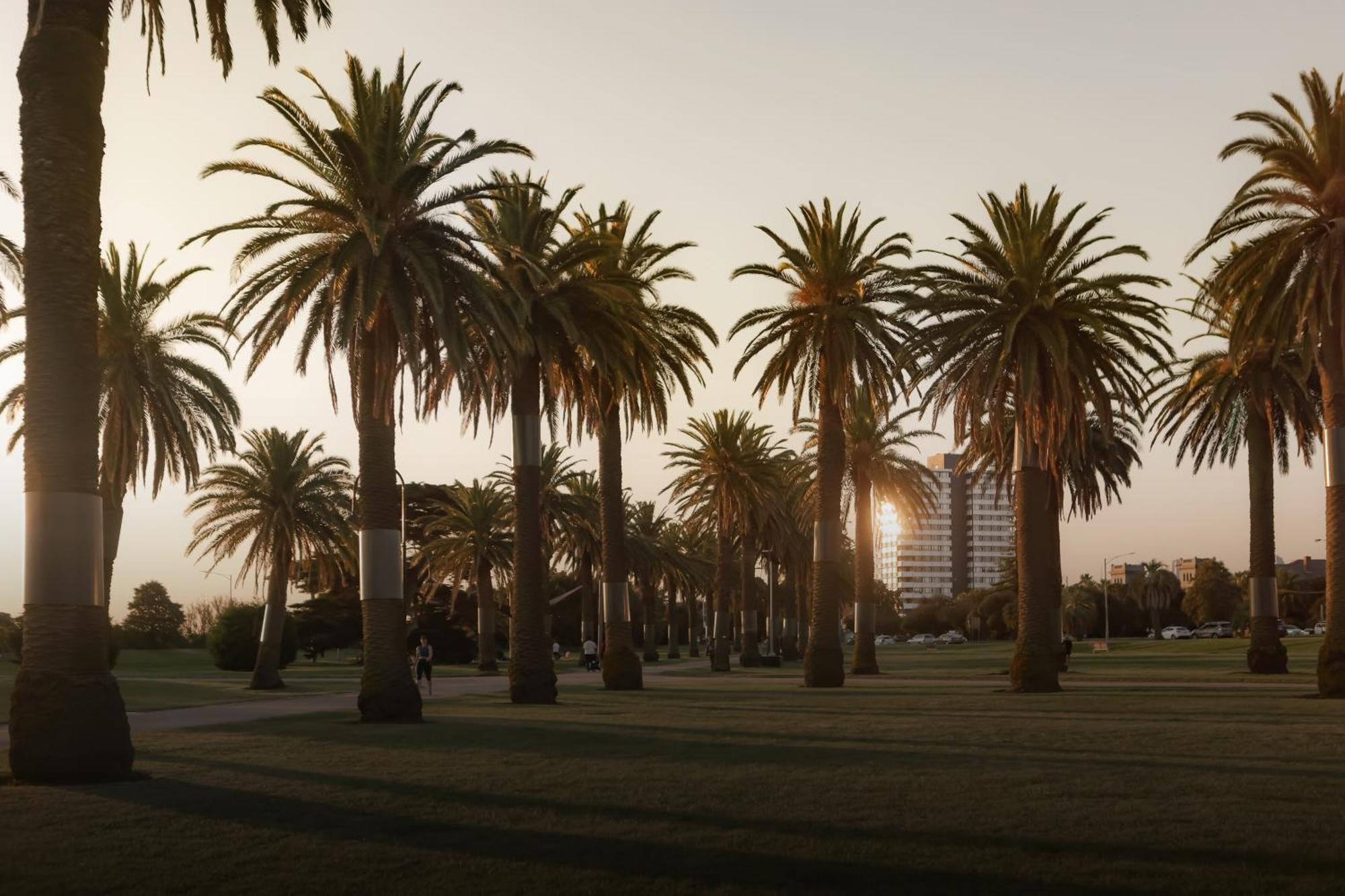 Mac St Kilda Blessington St By Melbourne Apartment Collection Luaran gambar